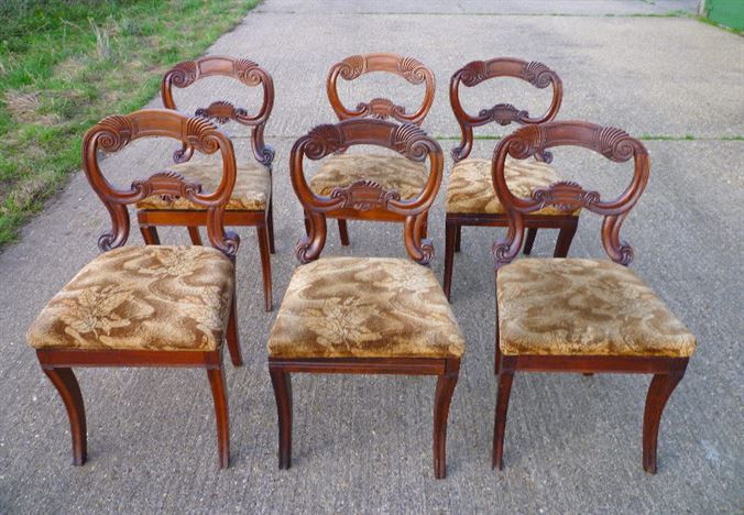 ANTIQUE FURNITURE WAREHOUSE - Antique Set Regency Chairs - Set Of Antique Set Regency Chairs - Set Of Six 6 Regency Rosewood Dining Chairs With Balloon Backs - ANTIQUE FURNITURE WAREHOUSE - Antique Set Regency Chairs - Set Of
