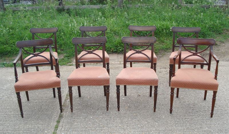 ANTIQUE FURNITURE WAREHOUSE - Large Set Of Antique Dining Chairs Large Set of Antique Dining Chairs - Set of 8 Eight Regency Dining Chairs With X Frame Backs - ANTIQUE FURNITURE WAREHOUSE - Large Set Of Antique Dining Chairs