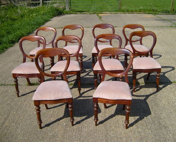 ANTIQUE FURNITURE WAREHOUSE - Set Of Ten Antique Dining Chairs - Set Set of Ten Antique Dining Chairs - Set of 10 ten Victorian mahogany balloon back dining chairs - ANTIQUE FURNITURE WAREHOUSE - Set Of Ten Antique Dining Chairs - Set
